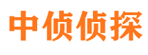 洛宁市私家侦探